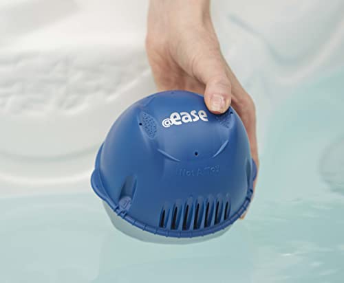 FROG @Ease Floating Sanitizing System