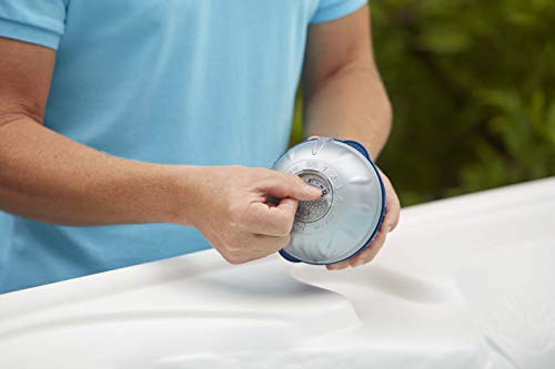 FROG @ease Floating Sanitizing System