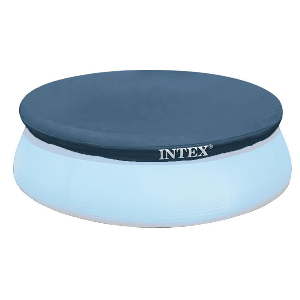 Intex Swim Center Clearview Aquarium Inflatable Pool