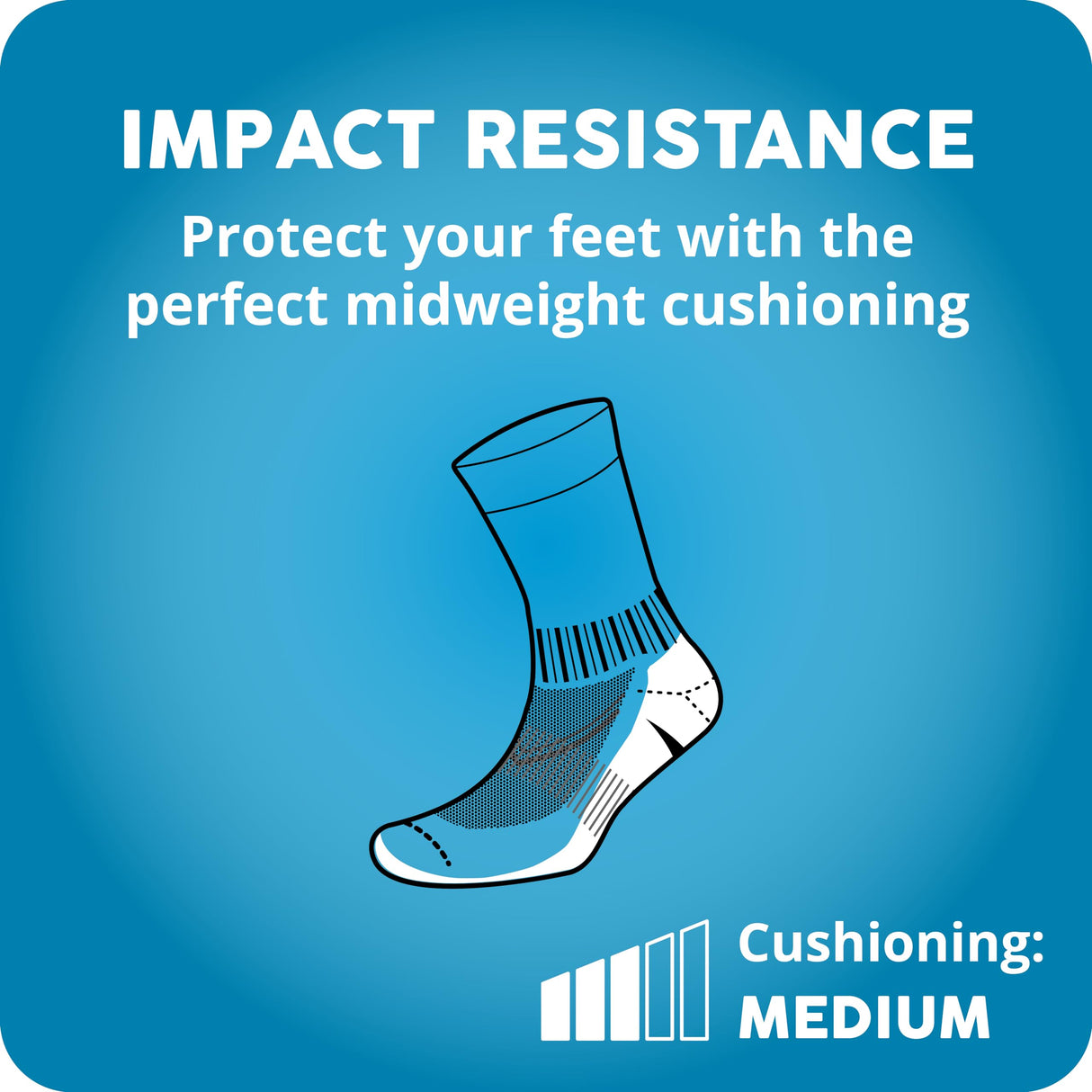 Balega Women's Enduro Reflective Arch Support Performance Quarter Athletic Running Socks (1 Pair)