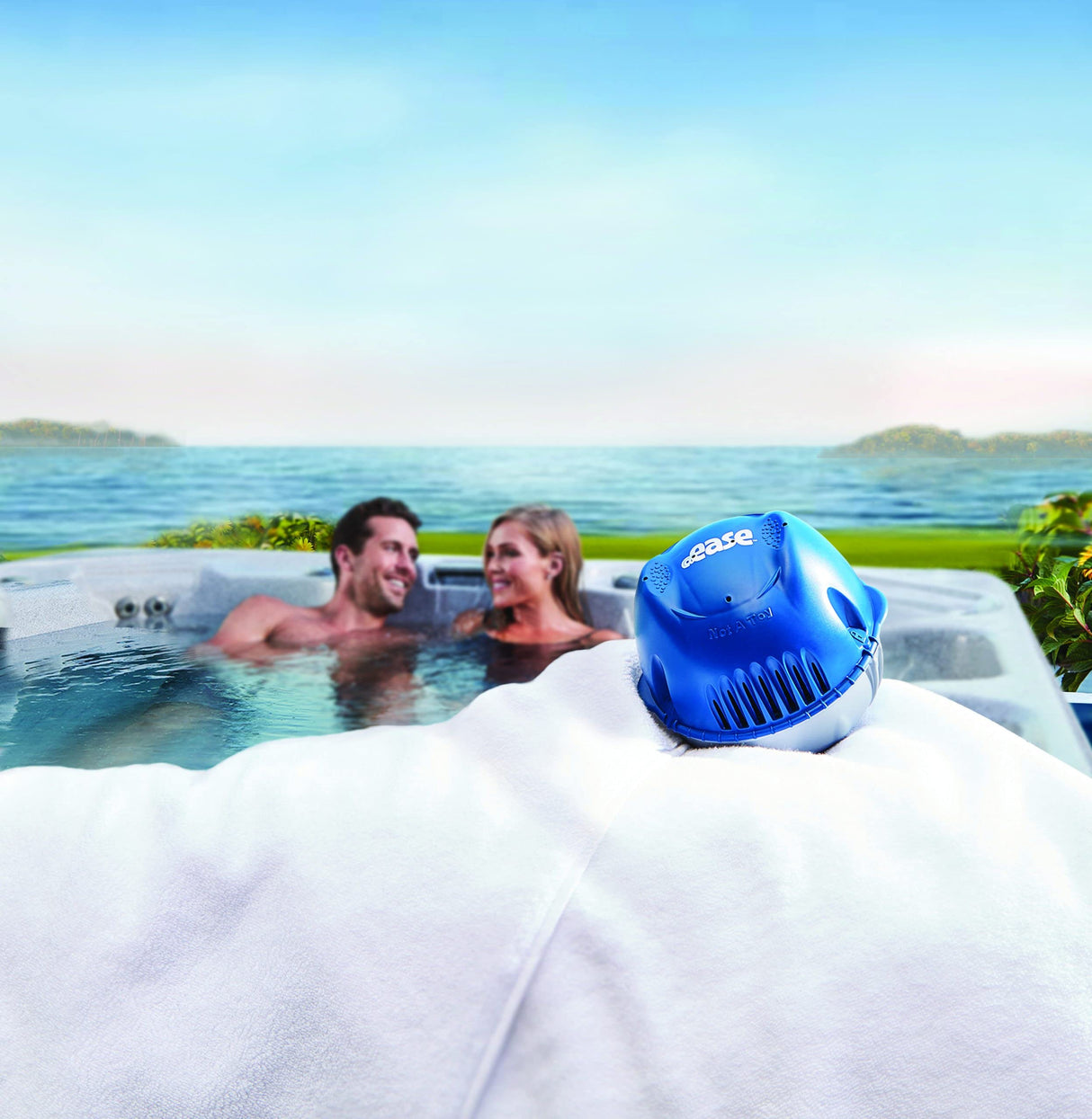 FROG @Ease Floating Sanitizing System