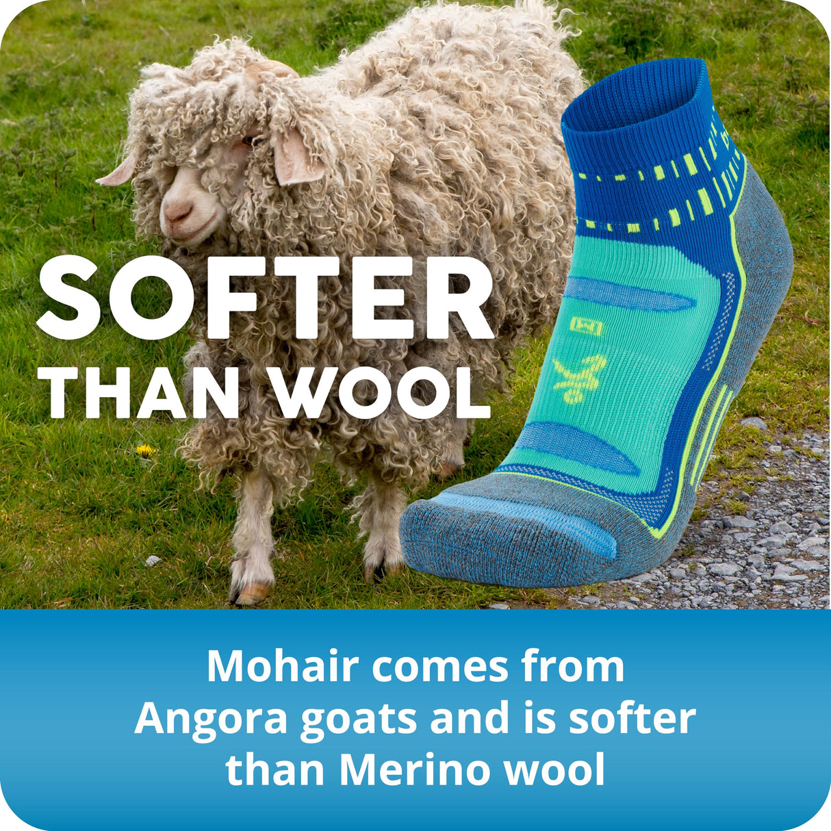 Balega Unisex Adult No Show Performance Athletic Running Socks (3 Pairs)