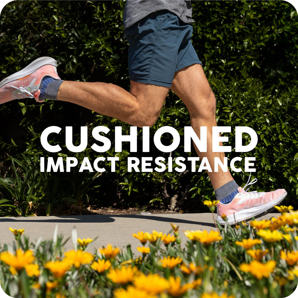 Balega Women's Grit & Grace Arch Support Performance No-Show Athletic Running Socks (1 Pair)