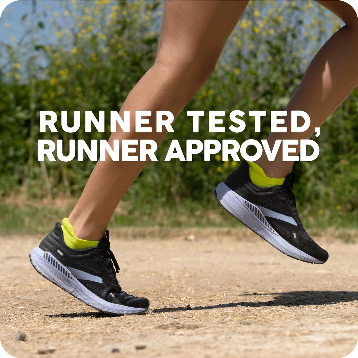 Balega Hidden Comfort Performance No Show Athletic Running Socks for Men and Women (3-Pack)